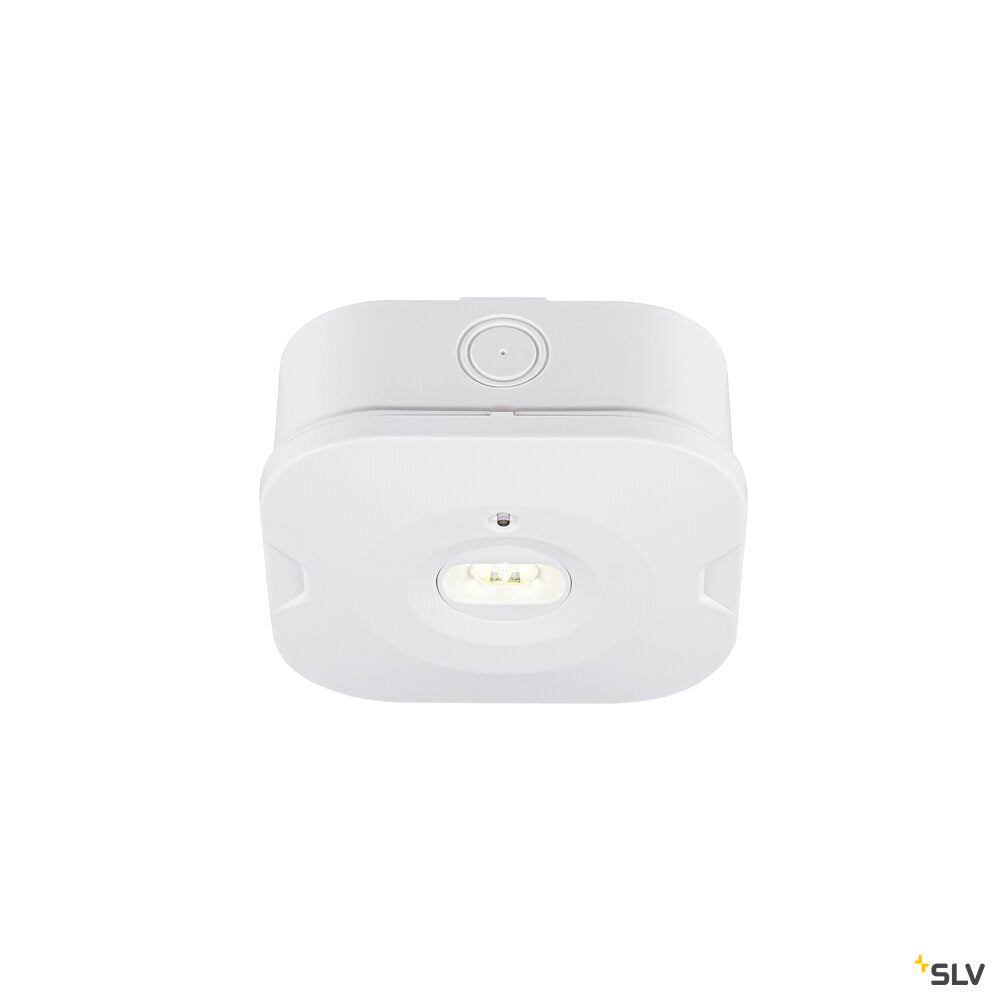SLV P-LIGHT, Ceiling-mounted light, square, 6000K, 1.2W, white 1010508