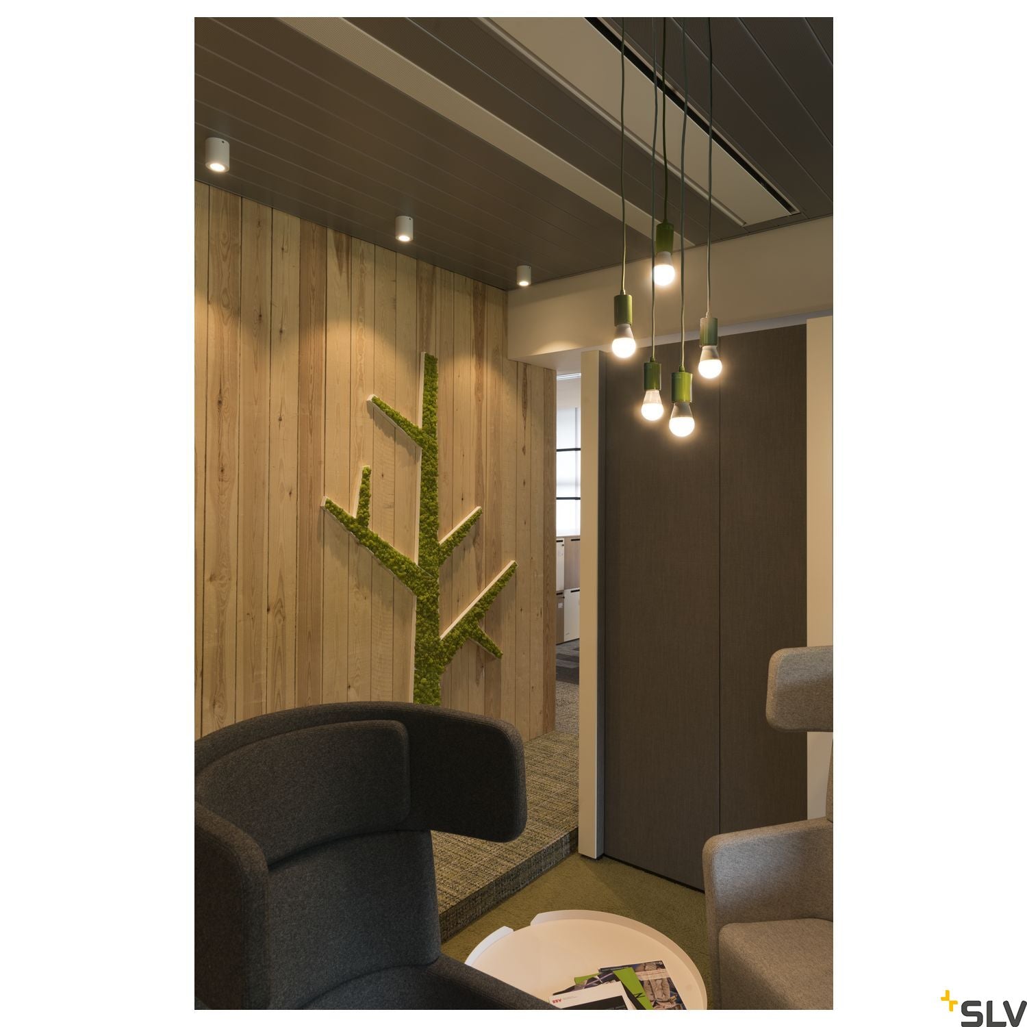 SLV TRILEDO CL, indoor surface-mounted ceiling light, QPAR51, white, max 10W 1002011
