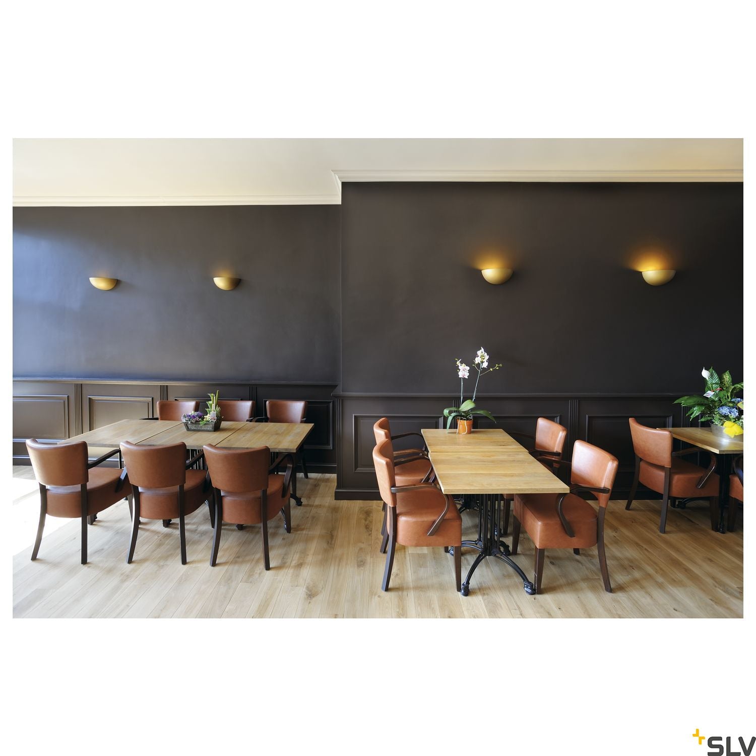 SLV Wall light, GL 101 E14, semicircular, white plaster, max. 40W 148013