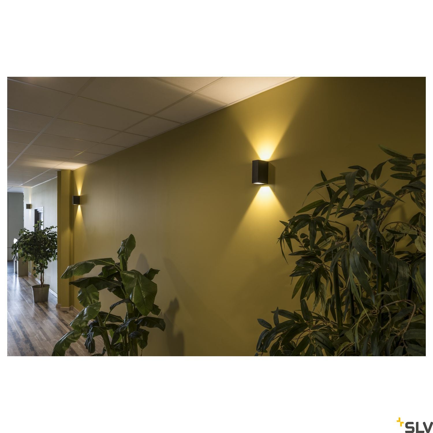 SLV QUAD 2 XL wall light, square, anthracite, 2x 3.2W COB LED, 3000K, IP44, up/down 232445